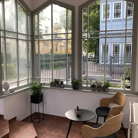 Haffnera 30 소포트