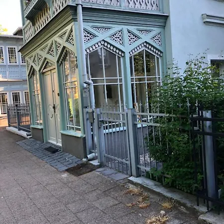 Haffnera 30 * 소포트