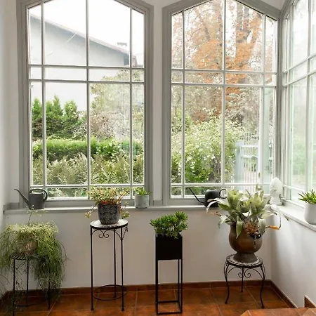 Haffnera 30 소포트